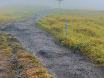 Jalur Pendakian Pos 3 Gunung Sumbing Dipasang Kawat Berduri, Ini Alasannya