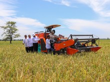 Harga Beras Turun di Semua Segmen, 2 Bulan Berturut-turut Terjadi Deflasi