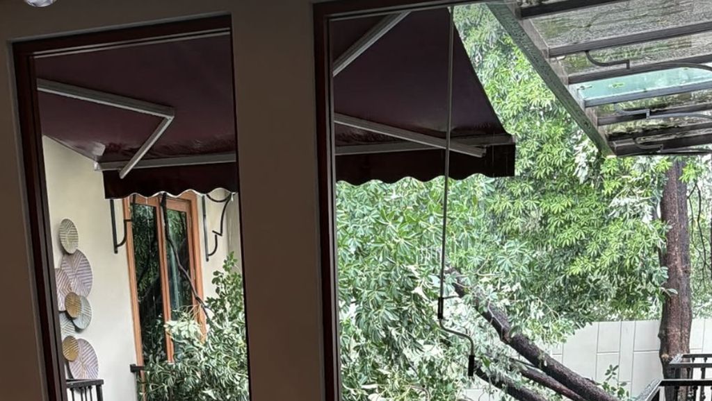 Duh! Hujan Angin Bikin Pohon Besar di Rumah Jennifer Dunn Tumbang