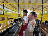 Minyak Aljazair Pulang Kampung ke Indonesia, Pertamina Angkut 1 Juta Barrel