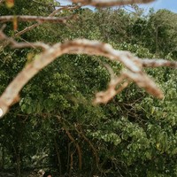 Habiskan waktu berdua, Sean dan Hana tampak begitu menikmati keindahan alam sambil bersantap bersama. Foto: Instagram/@hanamalasan