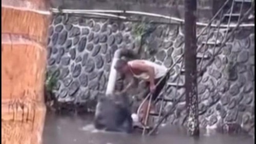 Seorang pria tertangkap kamera membuang sampah ke aliran sungai Tukad Badung, Denpasar. (Tangkapan layar)