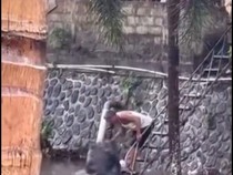 Pria Buang Sampah ke Tukad Badung Dipanggil Satpol PP!