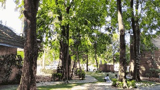 Bamboo Park di Tangerang, Serasa di Puncak, Asri dan Adem