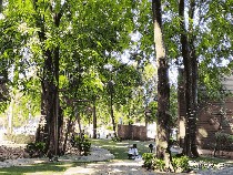 Bamboo Park di Tangerang, Serasa di Puncak, Asri dan Adem