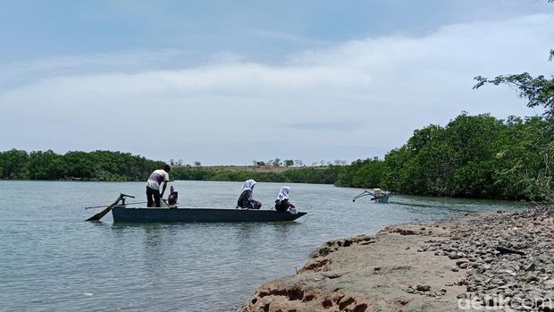 Anak-anak sekolah menyeberangi muara menggunakan di Desa Seriwe, Kecamatan Jerowaru, Lombok Timur, NTB untuk pergi ke sekolah, Rabu (5/11/2025). (Sanusi Ardi W/detikBali)