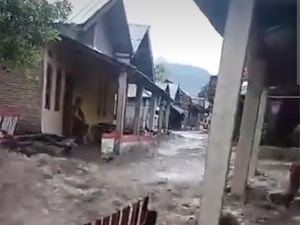 Hutan Gundul Picu Banjir di Bima, Aktivis Desak Pemerintah Bertindak