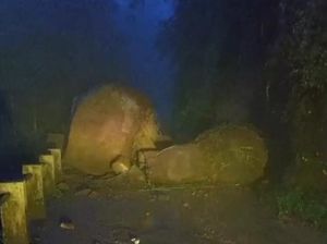 Jalan di Lereng Merbabu Boyolali Tertutup Batu Besar akibat Longsor