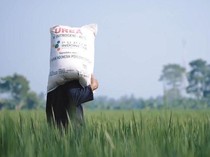 Mentan Ingatkan Kios Pupuk Melanggar, Izinnya Akan Dicabut