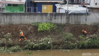 Kegiatan ini dilakukan sebagai langkah antisipasi pohon tumbang serta upaya menjaga keselamatan warga dan kelancaran aliran sungai di tengah meningkatnya curah hujan di wilayah ibu kota.