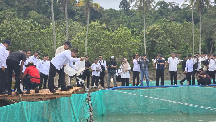 Menteri Imipas Agus Andrianto bersama Kepala Bappenas lebas ribuan bibit sidat di Nusakambangan