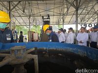 Awal Mula Keberadaan Harimau Milik Pramono di Ragunan