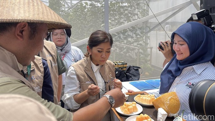 Menteri Komunikasi dan Digital, Meutya Hafid, meninjau hasil panen melon dengan sistem IoT di Tanon, Sragen, Rabu (5/11/2025).