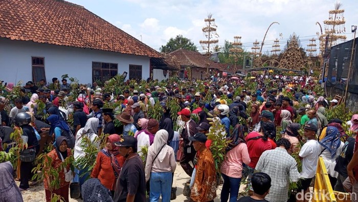 Meriahnya suasana Festival Kebonkliwon IV, Kecamatan Salaman, Kabupaten Magelang, Rabu (4/11/2025).