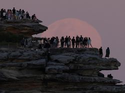 Pesona Supermoon Beaver Moon Hiasi Langit Moskow dan Sydney