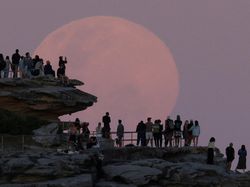 Pesona Supermoon Beaver Moon Hiasi Langit Moskow dan Sydney