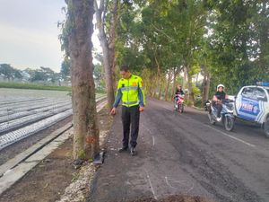 Pemotor NMax Tewas Usai Tabrak Pohon di Kulon Progo