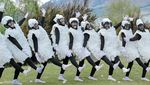 Ngakak! The Prediksi dan Bedain Cosplay Jadi Shaun the Sheep di New Zealand