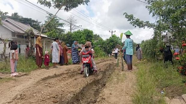 Warga di Kampung Cikaret, Desa Sukamulya, Kecamatan Cikeusik, Kabupaten Pandeglang, Banten, melakukan aksi tanam pohon pisang di tengah jalan sebagai protes jalan rusak.