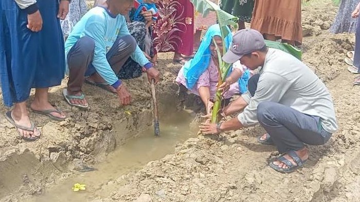 Warga di Kampung Cikaret, Desa Sukamulya, Kecamatan Cikeusik, Kabupaten Pandeglang, Banten, melakukan aksi tanam pohon pisang di tengah jalan sebagai protes jalan rusak.