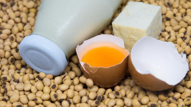 Source of Protein : Soy milk ,tofu and egg  on soy beans background
