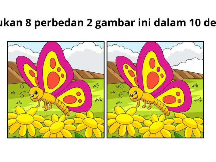 Butuh Fokus Ekstra! Cuma Mata Elang yang Bisa Lihat Bedanya di Gambar Ini