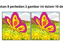 Butuh Fokus Ekstra! Cuma Mata Elang yang Bisa Lihat Bedanya di Gambar Ini