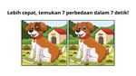 Butuh Fokus Ekstra! Cuma Mata Elang yang Bisa Lihat Bedanya di Gambar Ini