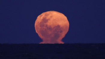 Supermoon “Beaver Moon” bersinar di atas Sungai Rio de la Plata, Buenos Aires, Argentina, Rabu (5/11/2025). Supermoon November ini populer disebut Beaver Moon, merujuk musim ketika berang-berang mulai membangun bendungan jelang musim dingin. Reuters/Agustin Marcarian