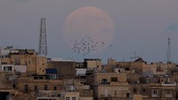 The biggest supermoon of the year, known as the Beaver Moon, rises over the town of Senglea in Grand Harbour, as seen from Marsa, Malta, November 5, 2025. REUTERS/Darrin Zammit Lupi     TPX IMAGES OF THE DAY