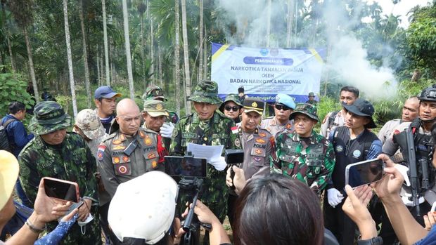 BNN menemukan ladang ganja di Aceh Utara seluas 6,5 hektare dengan berat ganja basah 69 ton