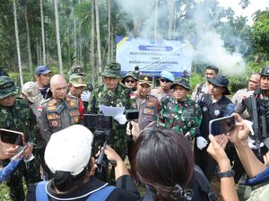 6,5 Hektare Ladang Ganja di Aceh Utara Dimusnahkan