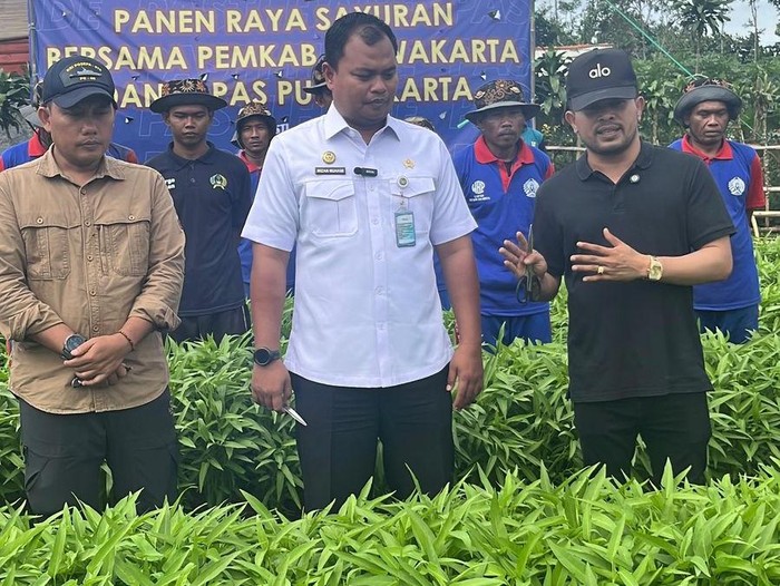 Hamparan hijau kangkung saat napi Lapas Purwakarta panen besar