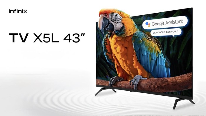 Infinix Smart TV X5L 43