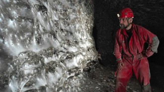 Jaring Laba-laba Terbesar Dunia di Gua Horor, Dihuni 111.000 Laba-laba