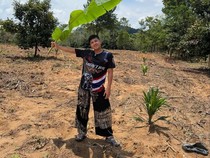 Jirayut Investasi Tanam Kelapa Sawit dan Durian Usai Beli Kebun 8.000 Meter