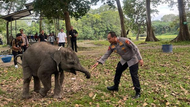 Kapolda Riau Irjen Pol Herry Heryawan patroli hutan di kawasan konservasi TWA Buluh Cina, Kabupaten Kampar, Kamis (6/11/2025).