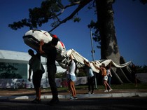 Masyarakat Adat Gelar Aksi Protes di Luar KTT Iklim COP30 Belem