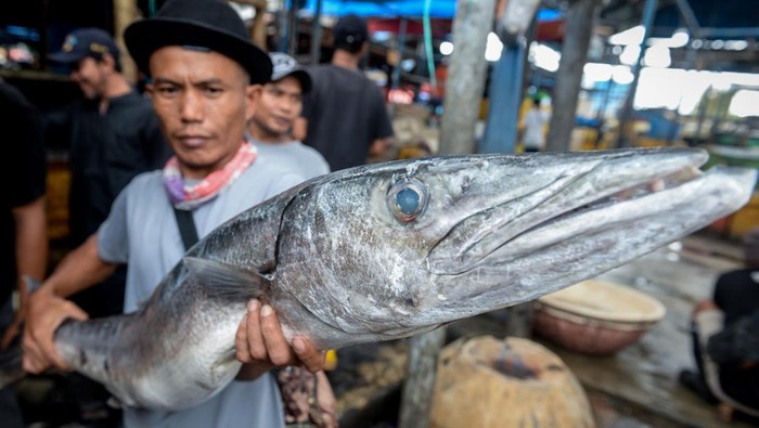 Nelayan membawa ikan hasil tangkapan di Tempat Pelelangan Ikan Cituis, Kabupaten Tangerang, Banten, Kamis (6/11/2025). Kementerian Kelautan dan Perikanan (KKP) memastikan volume penangkapan ikan nasional sepanjang tahun 2025 tidak akan melebihi tujuh juta ton seiring dengan kebijakan pengendalian aktivitas penangkapan yang lebih ketat guna mencegah eksploitasi berlebih yang dapat mengancam populasi ikan di sejumlah perairan padat tangkap. ANTARA FOTO/Putra M. Akbar/nz