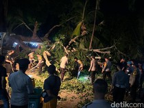 Pohon Tumbang Timpa Warga di Nusa Penida, 1 Tewas-5 Luka