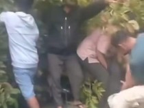 Pemotor Tertimpa Pohon Tumbang di Palangka Raya