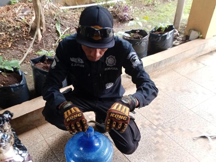 Proses evakuasi ular di kuningan