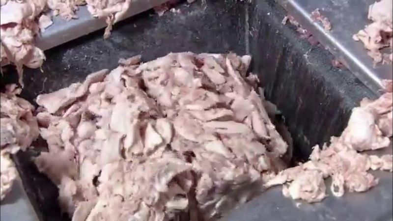 Rahasia Pabrik Hot Dog Ini Terkuak, Pakai 3 Daging Hewan Berbeda .