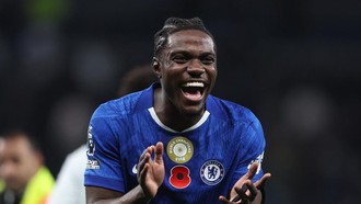 Kaki Kaca Romeo Lavia