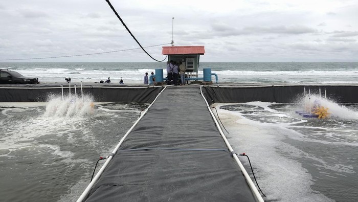 Area budidaya tambak udang vaname di Pantai Pasir putih Pulau Nusakambangan, Cilacap, Jawa Tengah, Rabu (5/11/2025). Lahan seluas 32 hektare di tepi pantai belakang Lapas Pasir Putih Nusakambangan dikembangkan untuk budidaya udang vaname dalam rangka mendukung program ketahanan pangan Presiden Prabowo Subianto. ANTARA FOTO/Idhad Zakaria/rwa.