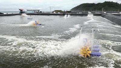 Tambak Udang Vaname Nusakambangan Dorong Ketahanan Pangan Nasional