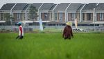 Sawah Kian Menyusut, Pemerintah Genjot Proyek Raksasa Cetak Lahan Baru