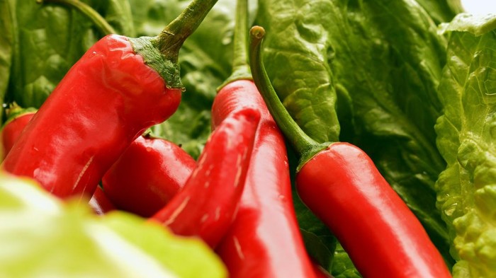 Harga Sembako Jogja Hari Ini 7 November 2025: Cabai Merah Belum Berhenti Naik!