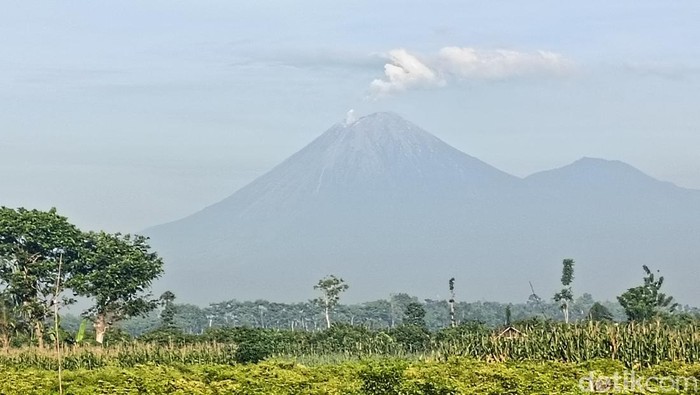 Gunung Semeru Erupsi Luncurkan Abu Vulkanik hingga 1.100 Meter