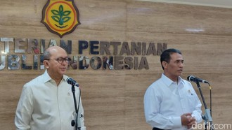 Danantara Siapkan Rp 20 Triliun buat Bikin Peternakan Ayam